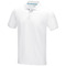 Graphite Poloshirt aus Bio-Baumwolle für Herren