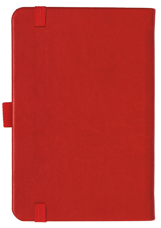 Notizbuch Style Small im Format 9x14cm, Inhalt kariert, Einband Slinky in der Farbe Scarlet