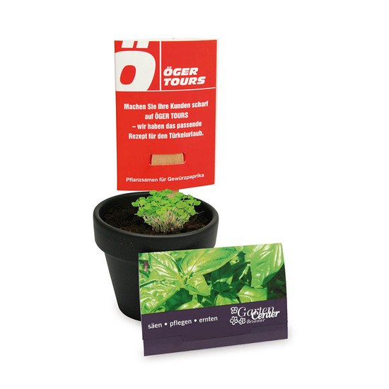 Pflanz-Stick mit Samen - Sommerblumenmischung