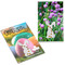 Samen-Karte-Mini Ostern - Schnittlauch