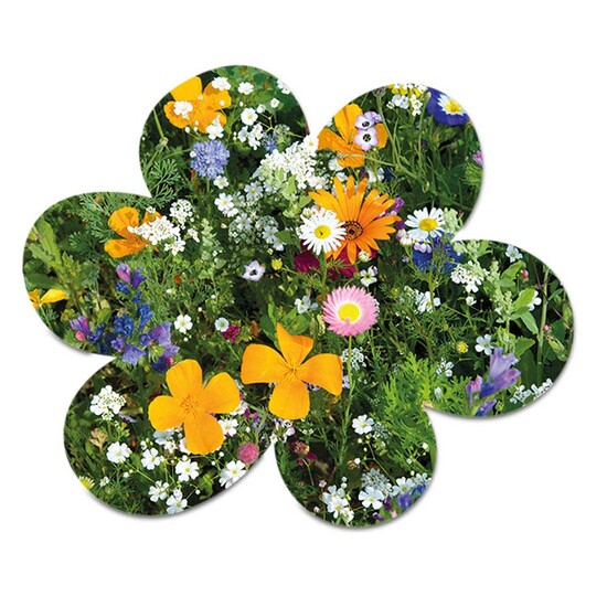 Samenpapier im Klappkärtchen - Blümchen