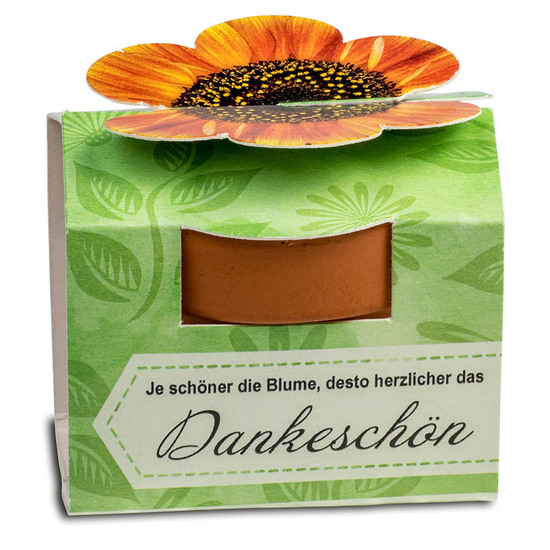 Tontöpfchen-Blume mit Samen - Sommerblumenmischung