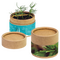 Pflanz-Cup mit Fichtensamen