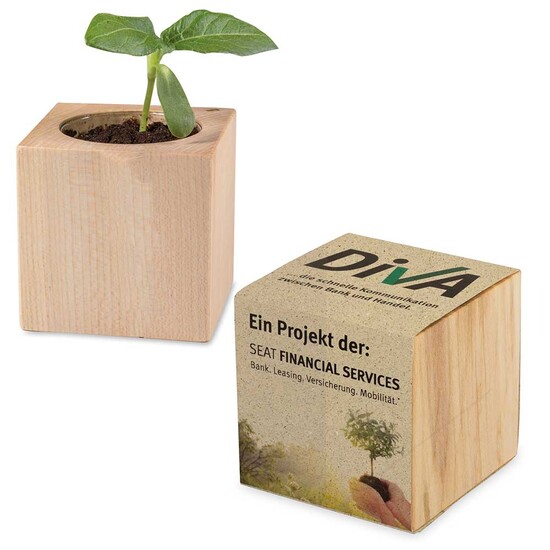 Pflanz-Holz mit Samen (Graspapier-Banderole) - Basilikum