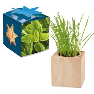 Pflanz-Holz Maxi Star-Box mit Samen - Majoran