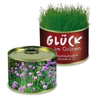 Natur-Konserve mit Samen - Schnittlauch
