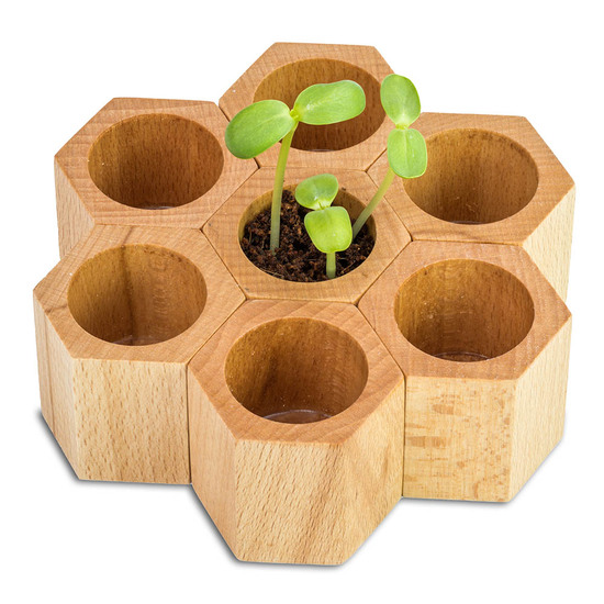 Pflanz-Holz Hexagon mit Samen - Schnittlauch