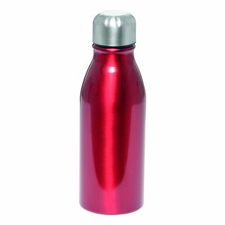 Aluminium Trinkflasche FANCY 56-0304283