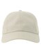 AT681 Dad Hat-S