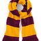 Stadium Scarf