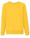 Kids Classic Raglan Sweat