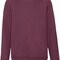 Kids Classic Raglan Sweat